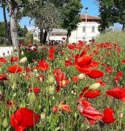 Villaggio Esmera Appartamento *